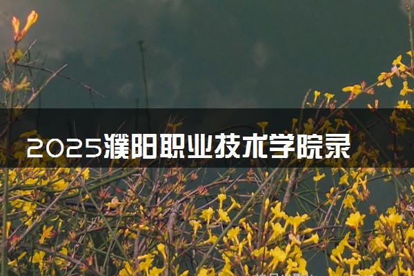 2025濮阳职业技术学院录取分数线是多少 各省最低分数线汇总