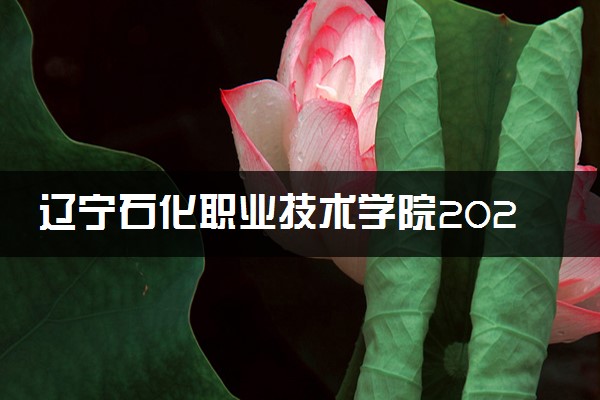 辽宁石化职业技术学院2025录取分数线整理 最低多少分可以考上