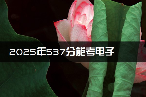 2025年537分能考电子信息工程专业吗 537分电子信息工程专业大学推荐