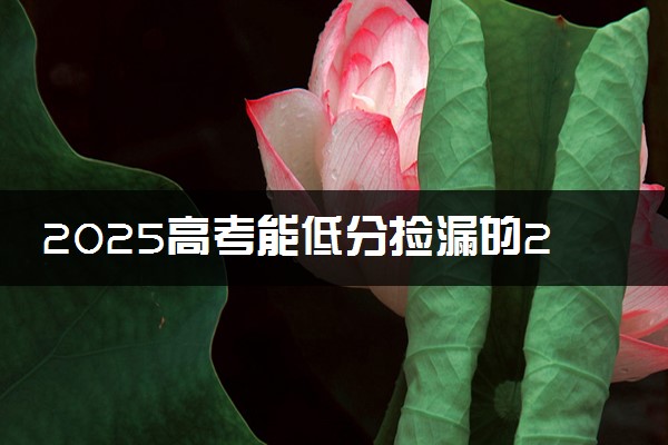 2025高考能低分捡漏的211大学 哪些院校值得推荐