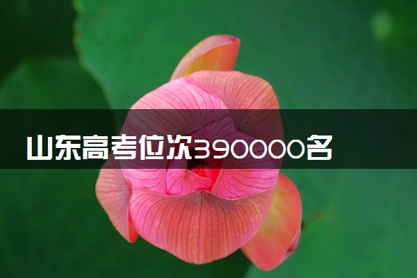 山东高考位次390000名左右报什么大学好（2025年参考）
