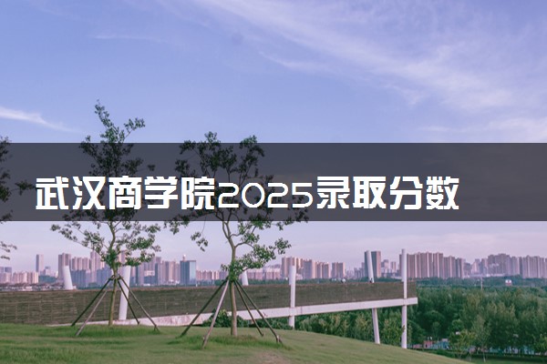 武汉商学院2025录取分数线整理 最低多少分可以考上