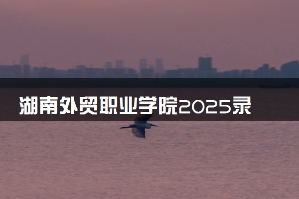 湖南外贸职业学院2025录取分数线整理 最低多少分可以考上