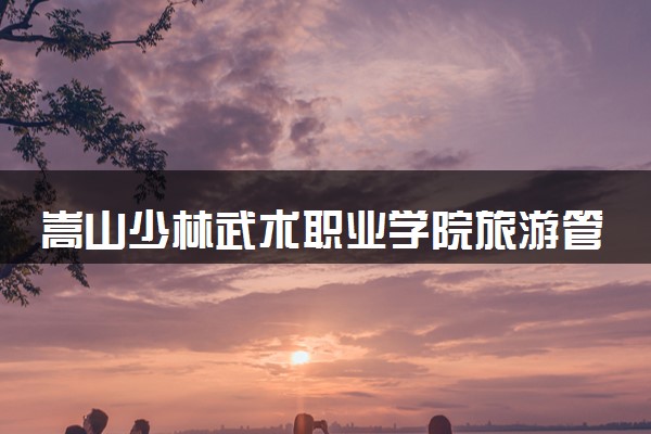 嵩山少林武术职业学院旅游管理专业怎么样 录取分数线多少