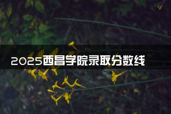 2025西昌学院录取分数线是多少 各省最低分数线汇总