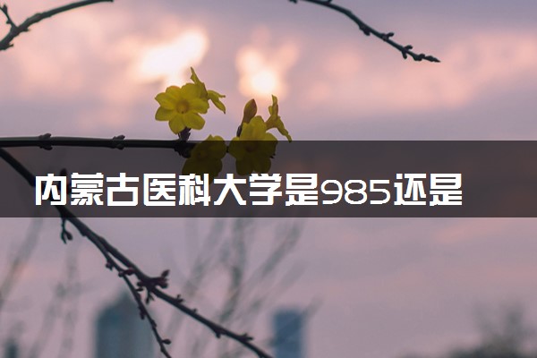 内蒙古医科大学是985还是211 含金量怎么样