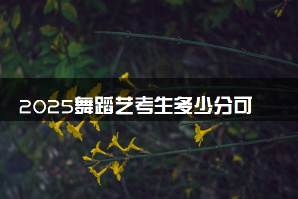 2025舞蹈艺考生多少分可以报华北理工大学轻工学院