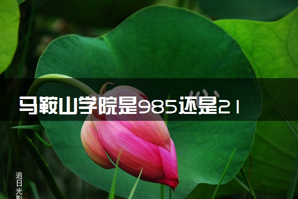 马鞍山学院是985还是211 含金量怎么样