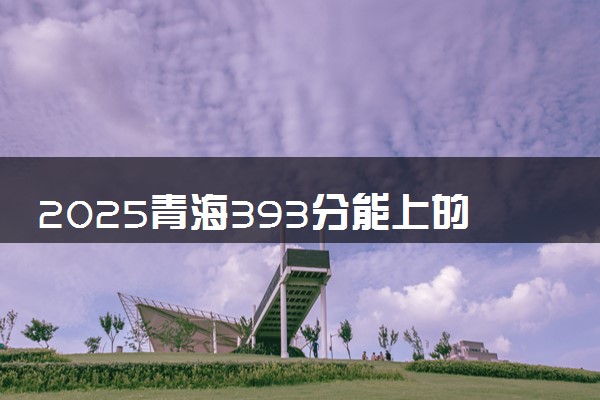 2025青海393分能上的大学有哪些 可以报考院校名单
