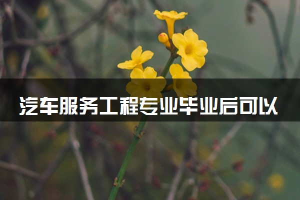 汽车服务工程专业毕业后可以干什么 2025就业前景如何