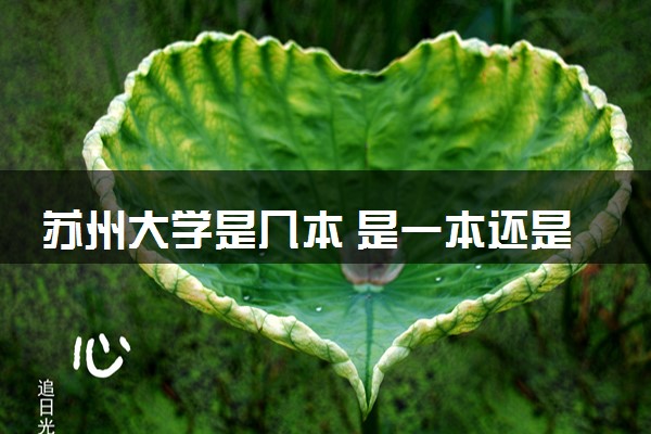 苏州大学是几本 是一本还是二本大学