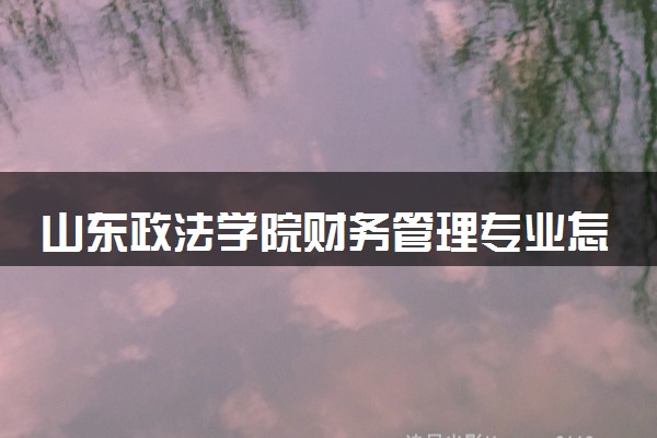 山东政法学院财务管理专业怎么样 录取分数线多少