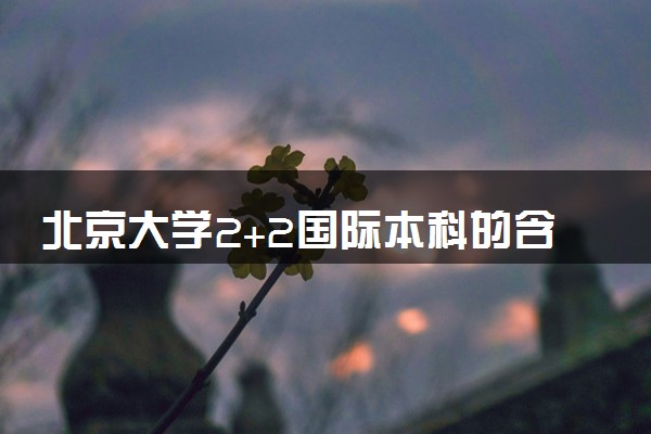 北京大学2+2国际本科的含金量 毕业后是什么文凭