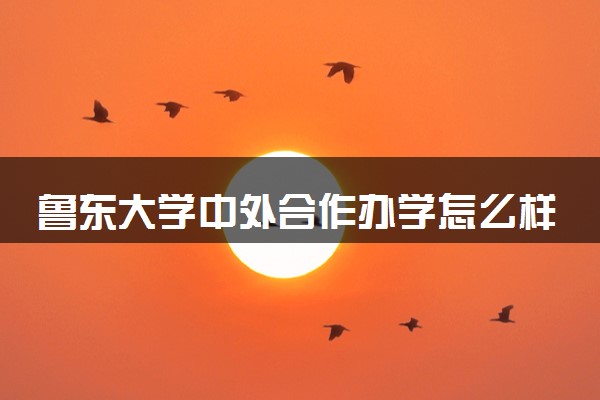 鲁东大学中外合作办学怎么样 可以考研吗