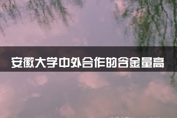 安徽大学中外合作的含金量高吗 值得上吗