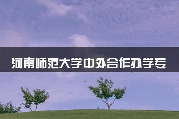 河南师范大学中外合作办学专业含金量高吗 就业率如何