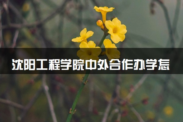 沈阳工程学院中外合作办学怎么样 要出国吗