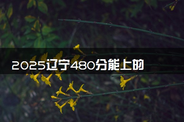 2025辽宁480分能上的大学有哪些 可以报考院校名单