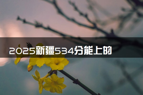 2025新疆534分能上的大学有哪些 可以报考院校名单