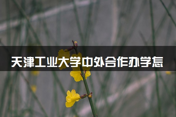 天津工业大学中外合作办学怎么样 要出国吗
