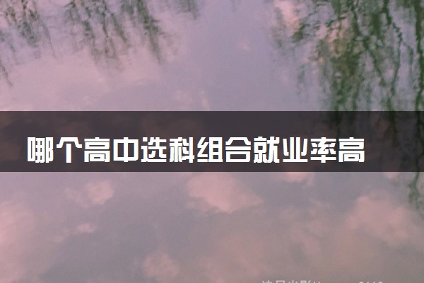 哪个高中选科组合就业率高 有什么推荐