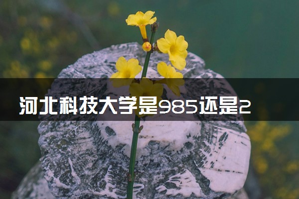 河北科技大学是985还是211 含金量怎么样