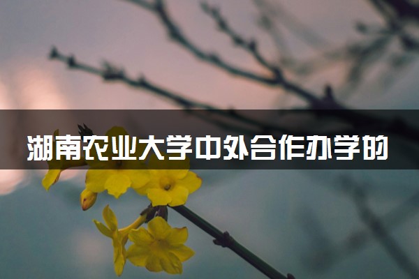 湖南农业大学中外合作办学的含金量 专业有哪些