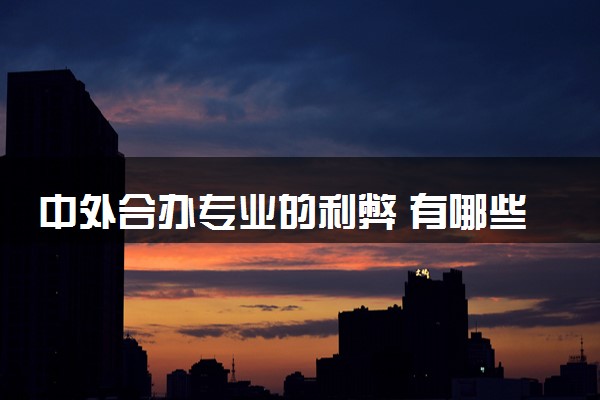 中外合办专业的利弊 有哪些知名院校
