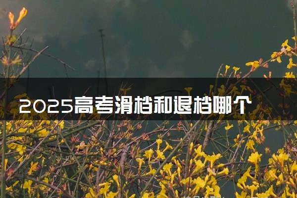 2025高考滑档和退档哪个更严重 有什么后果