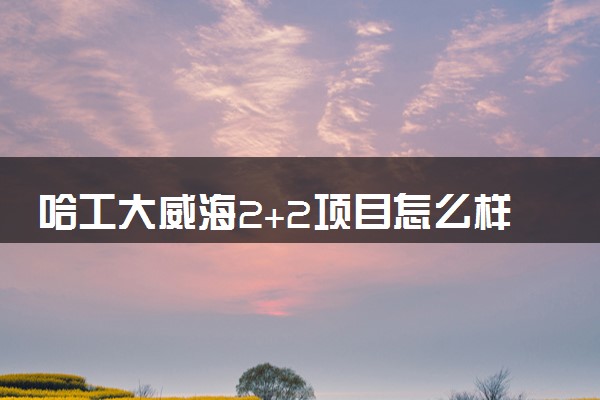 哈工大威海2+2项目怎么样 学费多少钱