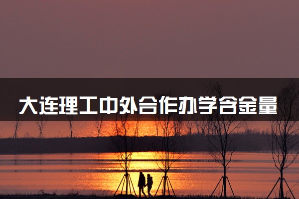 大连理工中外合作办学含金量高吗 学费是多少