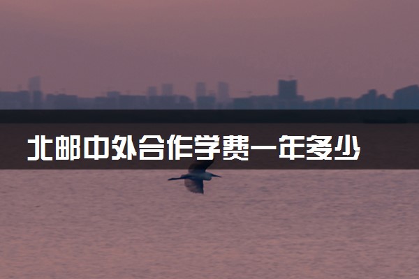 北邮中外合作学费一年多少 值得读吗