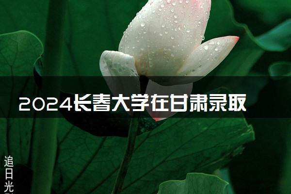 2024长春大学在甘肃录取分数线 各专业分数及位次