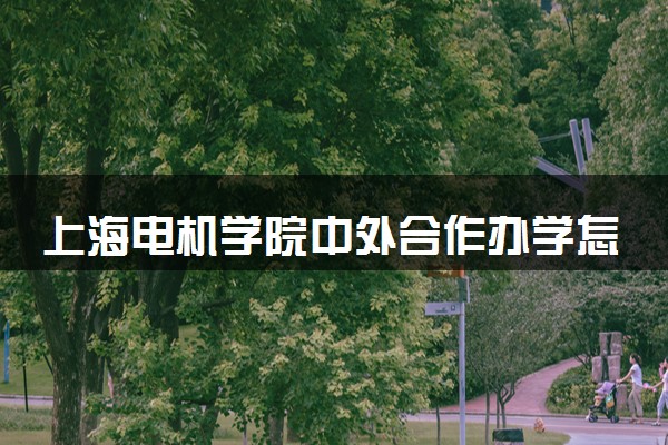 上海电机学院中外合作办学怎么样 好就业吗
