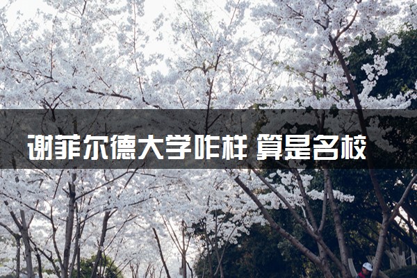 谢菲尔德大学咋样 算是名校吗