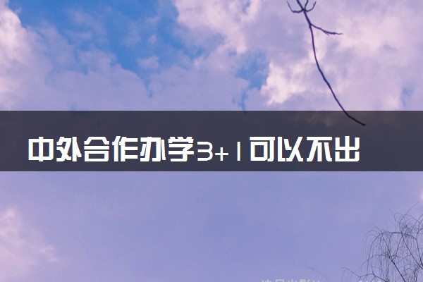 中外合作办学3+1可以不出国吗 会被退学吗