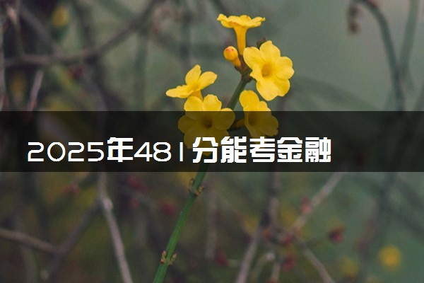 2025年481分能考金融工程专业吗 481分金融工程专业大学推荐