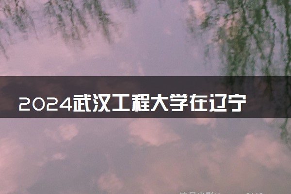 2024武汉工程大学在辽宁录取分数线 各专业分数及位次