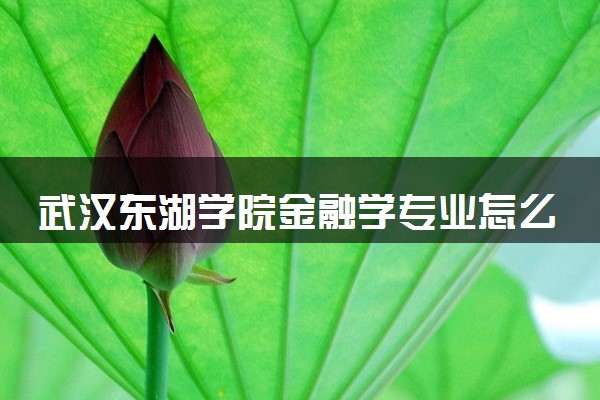 武汉东湖学院金融学专业怎么样 录取分数线多少