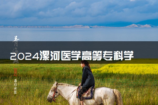 2024漯河医学高等专科学校在山东录取分数线 各专业分数及位次
