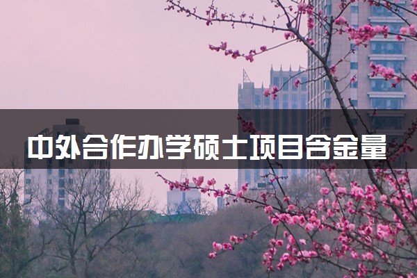 中外合作办学硕士项目含金量高吗 留服认证吗
