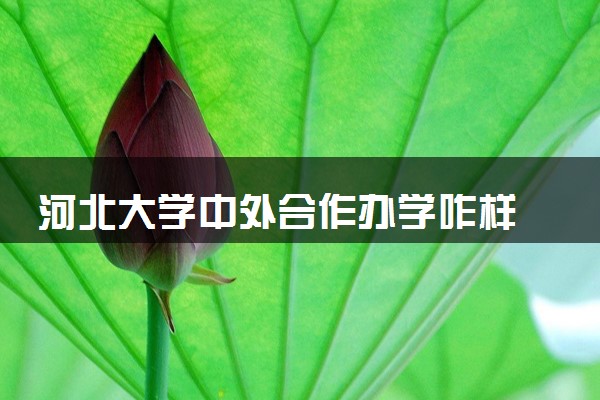 河北大学中外合作办学咋样 值不值得报考