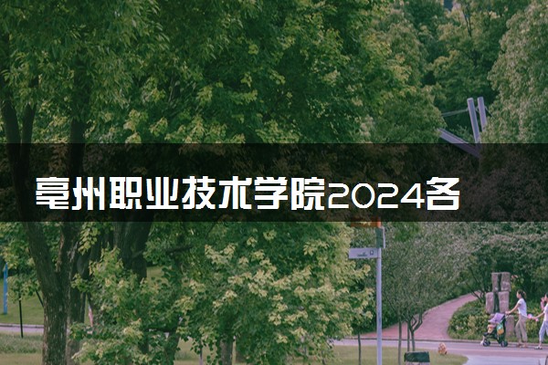 亳州职业技术学院2024各省录取分数线及最低位次是多少