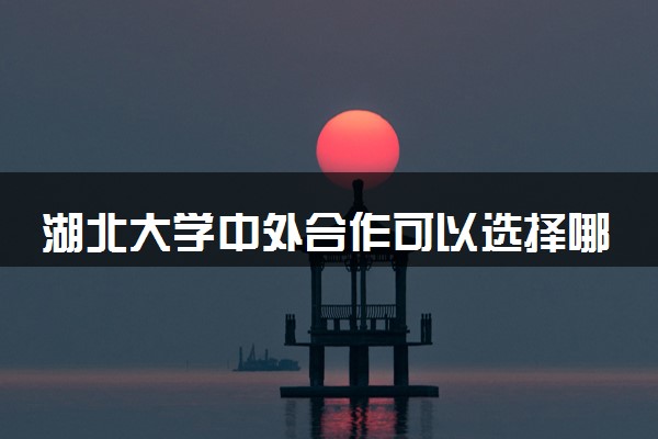 湖北大学中外合作可以选择哪些专业 值得报考吗