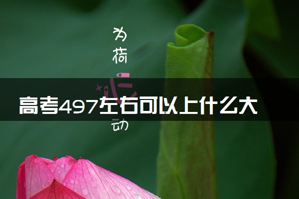高考497左右可以上什么大学 如何填报志愿