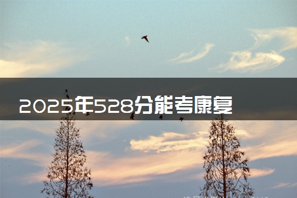 2025年528分能考康复治疗学专业吗 528分康复治疗学专业大学推荐