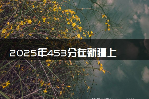 2025年453分在新疆上什么大学好 近三年录取分数线是多少