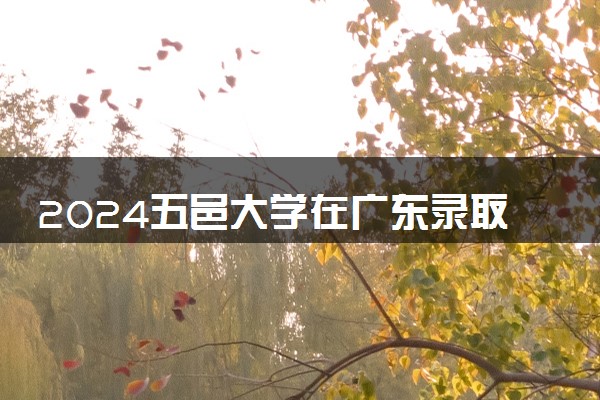 2024五邑大学在广东录取分数线 各专业分数及位次