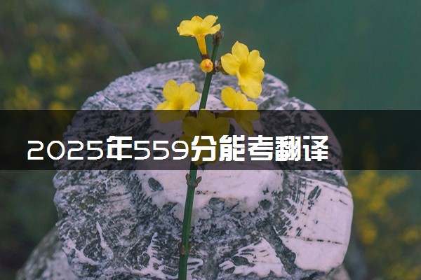 2025年559分能考翻译专业吗 559分翻译专业大学推荐