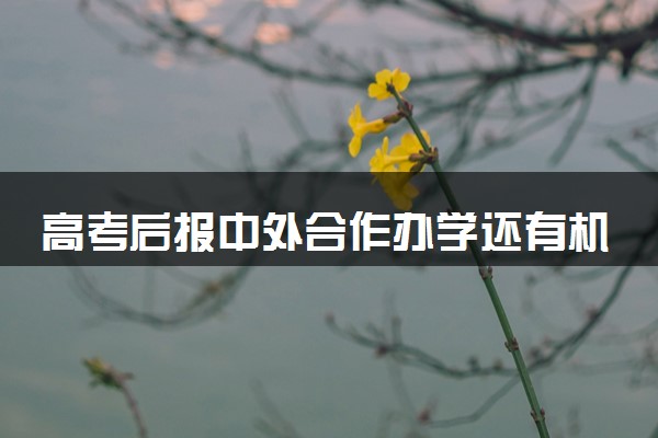 高考后报中外合作办学还有机会吗 怎么申请